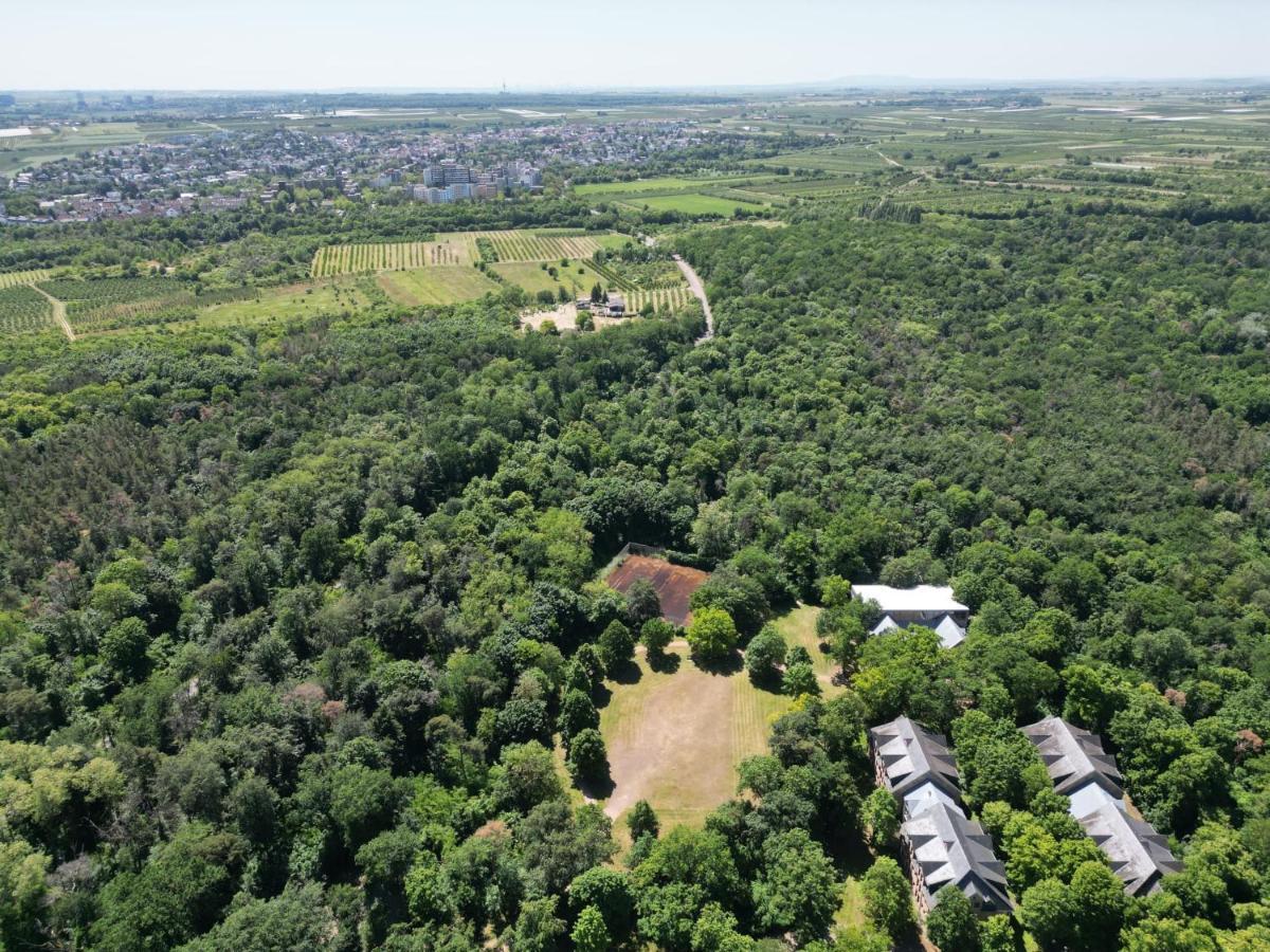 Ferienhaus Budenheim Exteriör bild