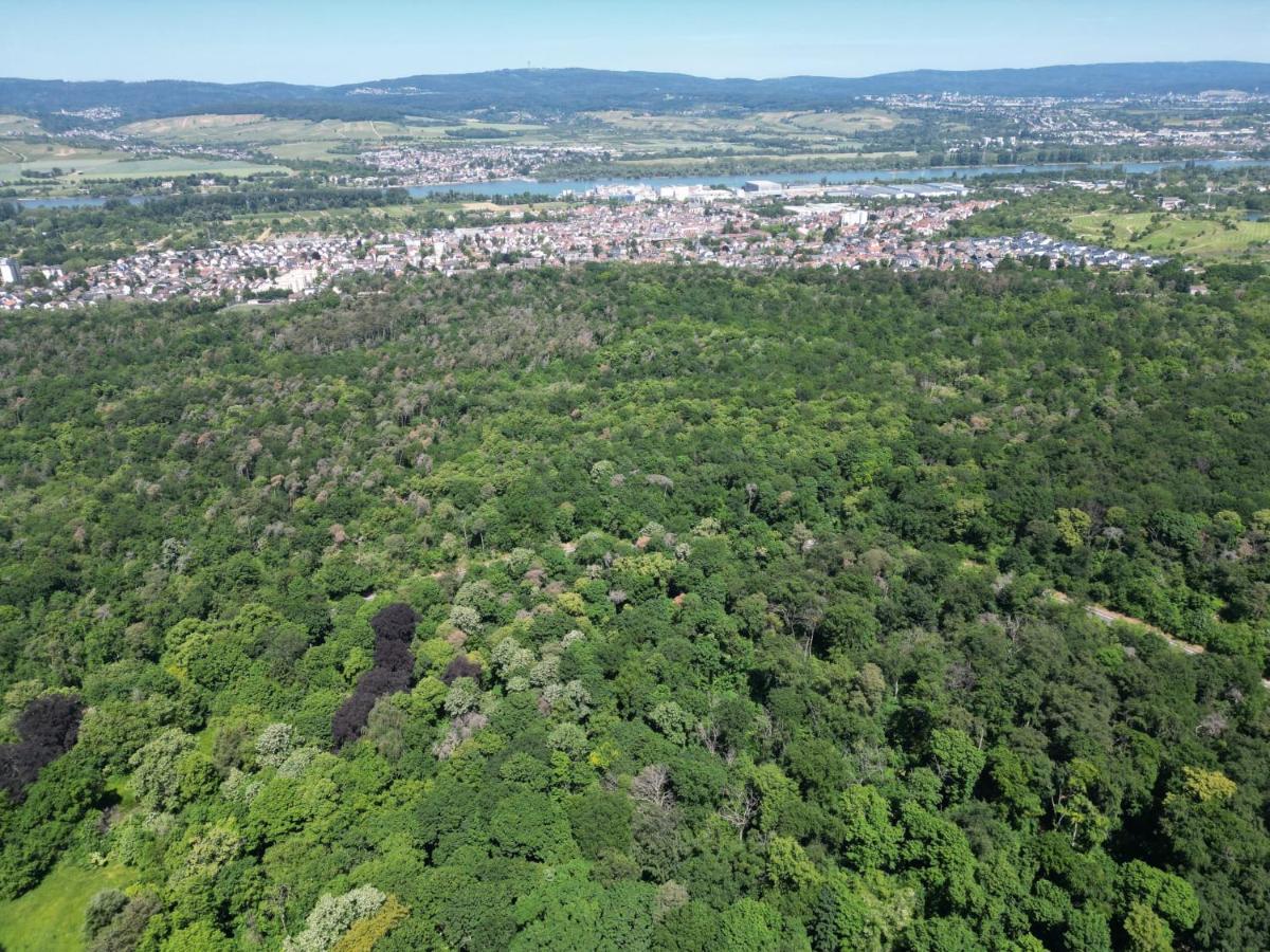 Ferienhaus Budenheim Exteriör bild